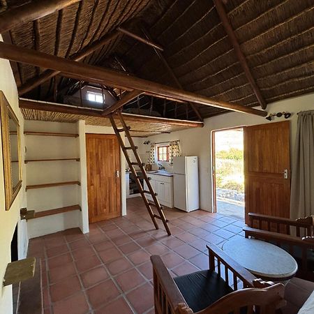 Enjo Nature Farm Clanwilliam Exterior foto