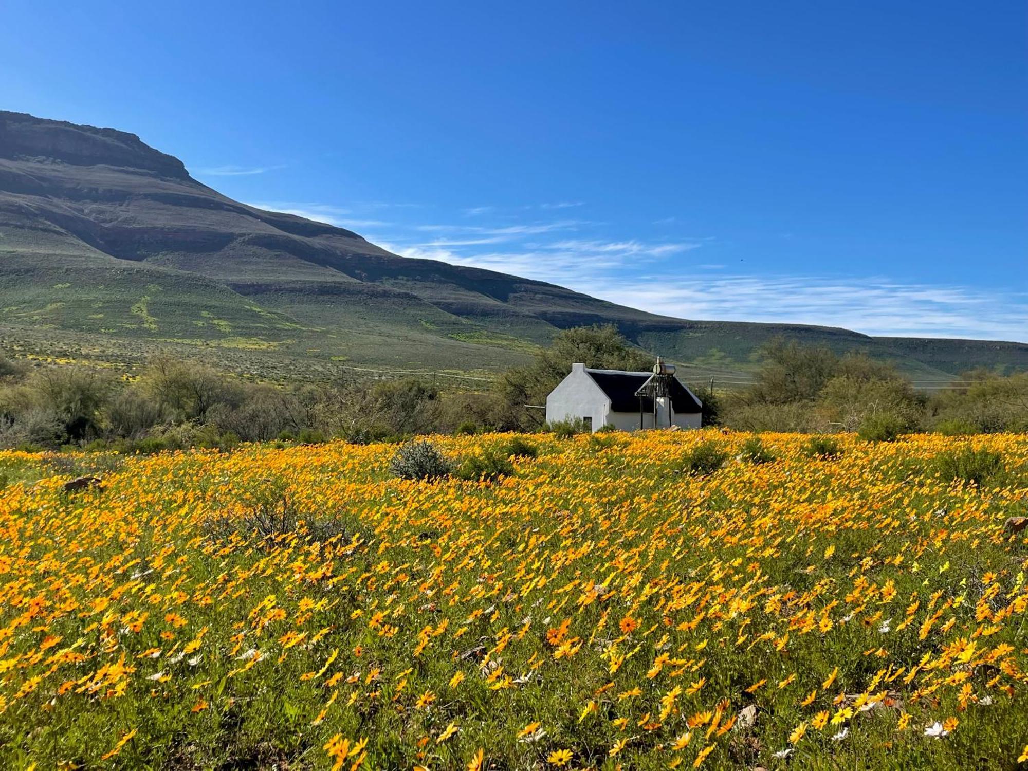 Enjo Nature Farm Clanwilliam Exterior foto